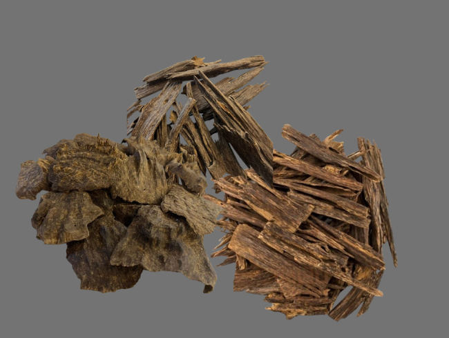 Indian Agarwood: A Rare Natural Treasure in the Northeastern Forests