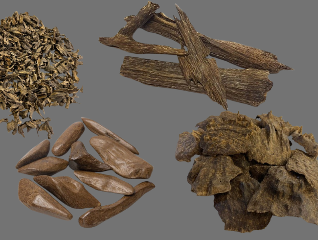 Classification and Naming of Oud: A Comprehensive Overview