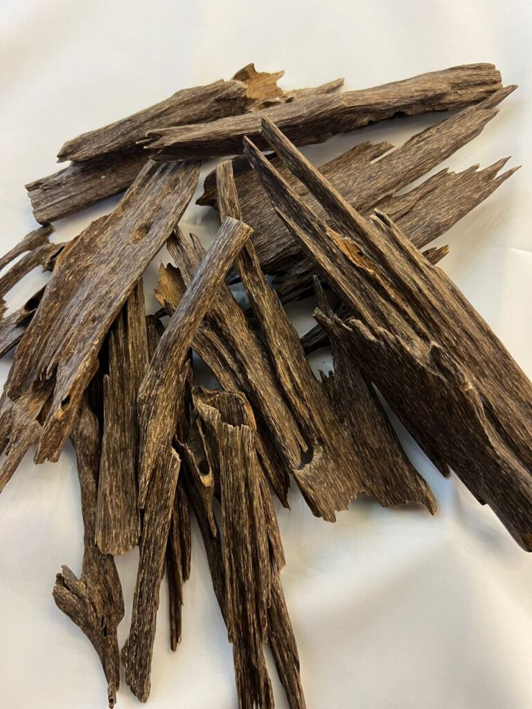 Agarwood: A Rich Historical and Cultural Treasure