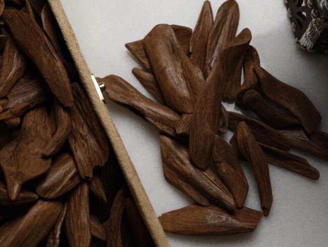 What is Oud/Agarwood? The Exquisite Scent of Nature