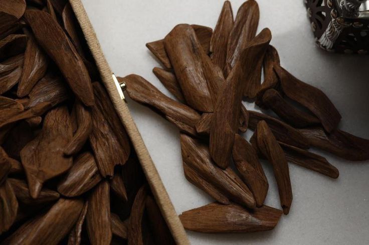 What is Oud/Agarwood? The Exquisite Scent of Nature