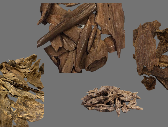 Indonesian Oud: Its Rich History, Cultural Significance, and Diverse Types