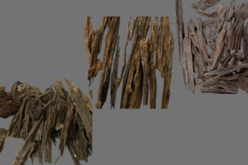 Malaysian Agarwood: A Luxurious Natural Treasure