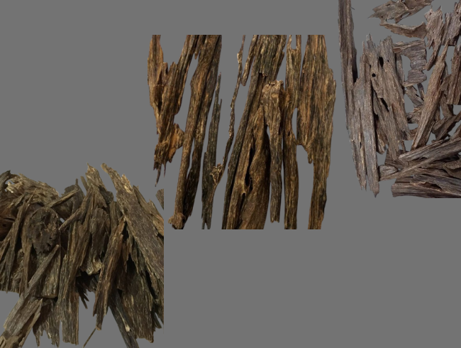 Malaysian Agarwood: A Luxurious Natural Treasure