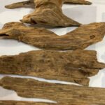 Burmese agarwood