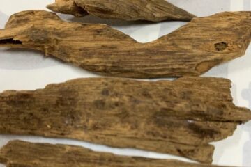 Burmese Agarwood: Its Historical, Cultural, and Economic Significance