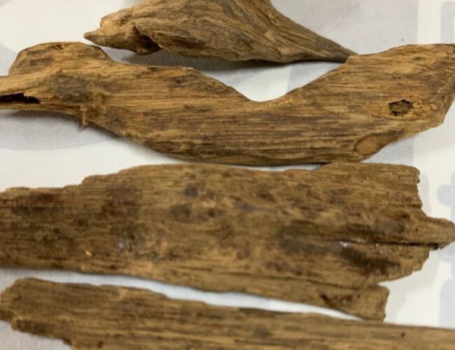Burmese Agarwood: Its Historical, Cultural, and Economic Significance