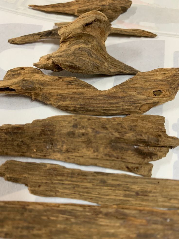 Burmese Agarwood: Its Historical, Cultural, and Economic Significance