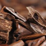 Chinese agarwood