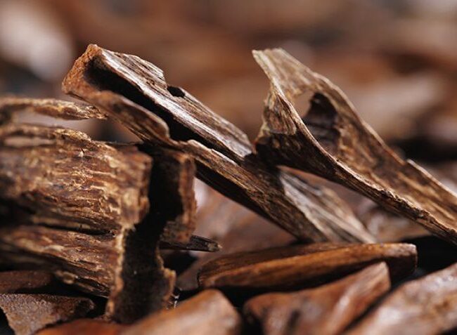 Chinese Agarwood: A Historical, Cultural, and Economic Overview