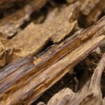 Laotian Oud