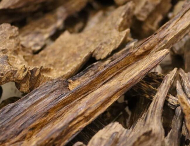 Laotian Oud: A Rare Gem from Laos’ Forests and Its Commercial Significance
