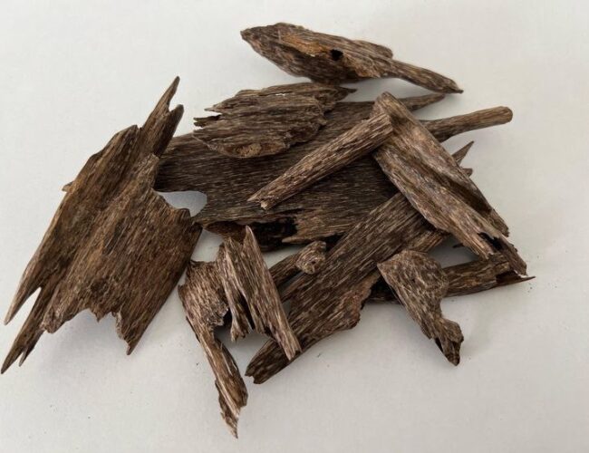 Vietnamese Oud: History, Conservation, and Global Significance