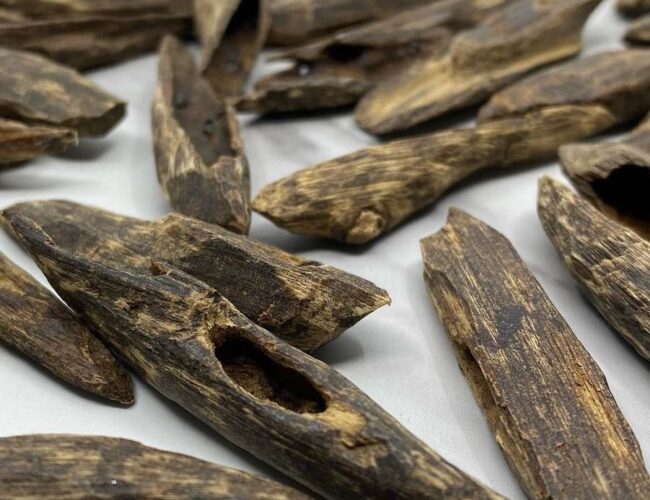 Filipino Oud: A Unique Aromatic Gem Shining in the World of Luxury Fragrances